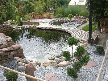 Schwimmteich Garten Natur